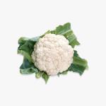 Organik Büyük Boy Kahverengi Yumurta (A Sınıfı)