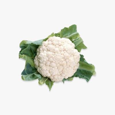 Organik Büyük Boy Kahverengi Yumurta (A Sınıfı)