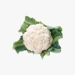 Organik Büyük Boy Kahverengi Yumurta (A Sınıfı)