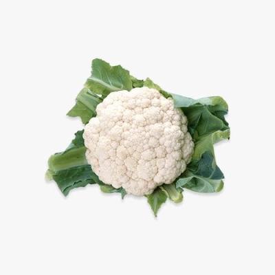 Organik Büyük Boy Kahverengi Yumurta (A Sınıfı)